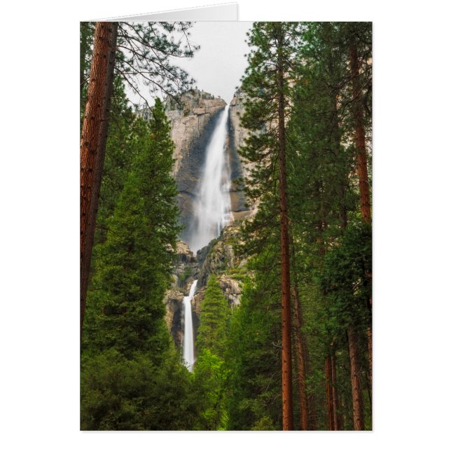 Yosemite Falls door het bos (Voorkant)