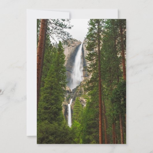 Yosemite Falls door het bos Bedankkaart (Voorkant)