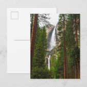 Yosemite Falls door het bos Briefkaart (Voorkant / Achterkant)