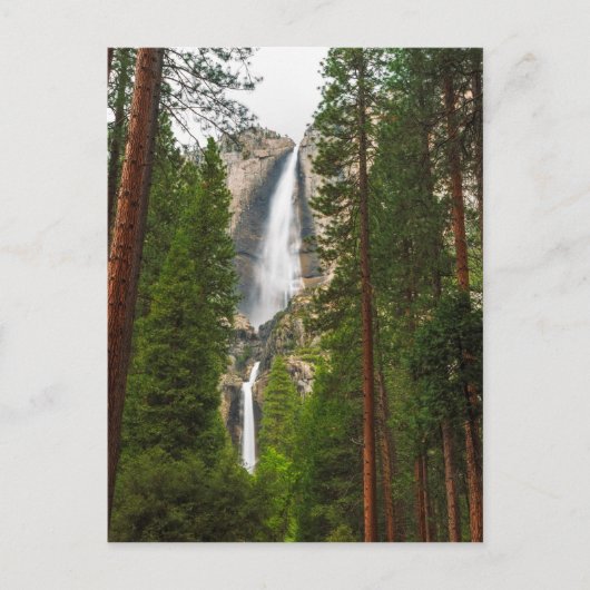 Yosemite Falls door het bos Briefkaart (Voorkant)