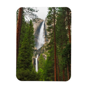 Yosemite Falls door het bos Magneet