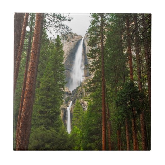 Yosemite Falls door het bos Tegeltje (Voorkant)