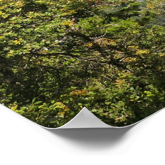 Yosemite Falls from Four Mile Trail Poster (Hoek)