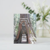 Yosemite heeft grote bomen te Briefkaart (Staand voorkant)