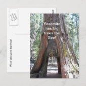 Yosemite heeft grote bomen te Briefkaart (Voorkant / Achterkant)