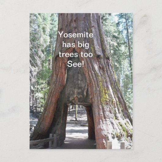 Yosemite heeft grote bomen te Briefkaart (Voorkant)