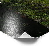 Yosemite Herfst II uit het Yosemite National Park Foto Afdruk (Hoek)