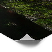 Yosemite Herfst II uit het Yosemite National Park Poster (Hoek)