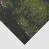 Yosemite Herfst II uit het Yosemite National Park Tissuepapier (Detail)