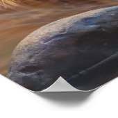 Yosemite Herfst Poster (Hoek)