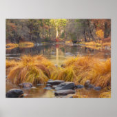 Yosemite Herfst Poster (Voorkant)