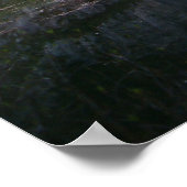 yosemite herfst reflectie poster (Hoek)