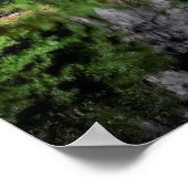 Yosemite Herfst Reflection Poster (Hoek)