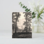  Yosemite-Herfsten Briefkaart (Staand voorkant)