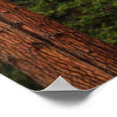 Yosemite Herfsten, Californië Poster (Hoek)