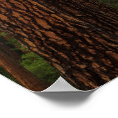 Yosemite-Herfsten door het bos Poster (Hoek)