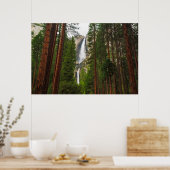 Yosemite-Herfsten door het bos Poster (Keuken)
