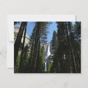 Yosemite Herfsten en Bossen