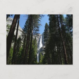 Yosemite Herfsten en Bossen Briefkaart
