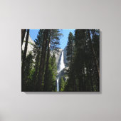 Yosemite Herfsten en Bossen Canvas Afdruk (Voorkant)