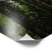 Yosemite Herfsten en Bossen Foto Afdruk (Hoek)