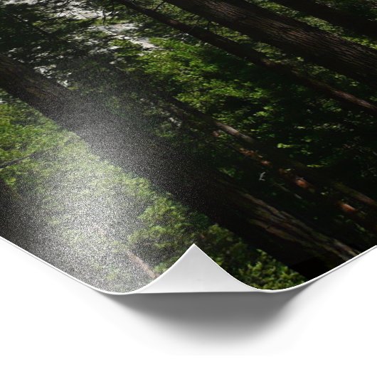 Yosemite Herfsten en Bossen Foto Afdruk (Hoek)