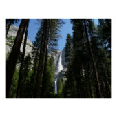 Yosemite Herfsten en Bossen Perfect Poster (Voorkant)