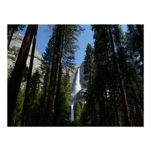Yosemite Herfsten en Bossen Perfect Poster (Voorkant)