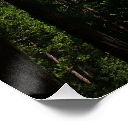 Yosemite Herfsten en Bossen Perfect Poster (Hoek)