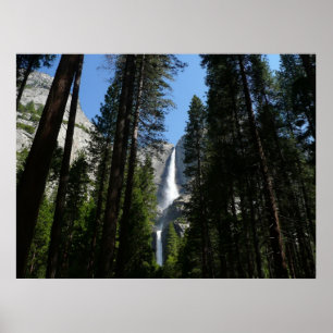 Yosemite Herfsten en Bossen Poster