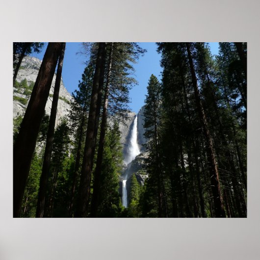 Yosemite Herfsten en Bossen Poster (Voorkant)