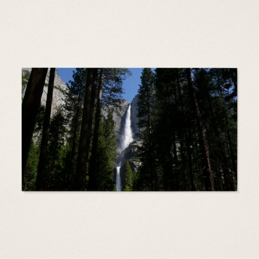 Yosemite Herfsten en Bossen Visitekaartje (Achterkant)