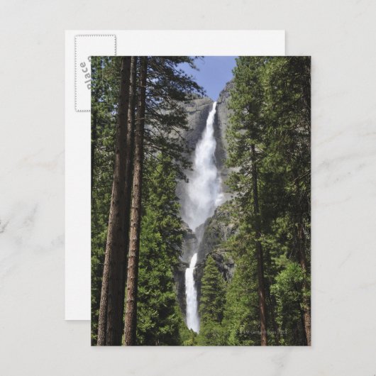 Yosemite-Herfsten, Nationaal Park Yosemite Briefkaart (Voorkant / Achterkant)