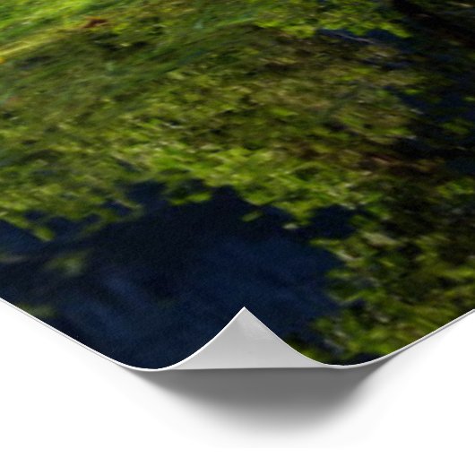 Yosemite-Herfsten | Nationaal park Yosemite Poster (Hoek)