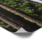 Yosemite-Herfsten, Nationaal Park Yosemite Poster (Hoek)