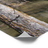 Yosemite Herfsten Poster (Hoek)