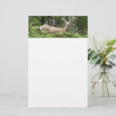 Yosemite Herten Natuur Fotografie Briefpapier (Staand voorkant)