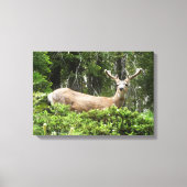 Yosemite Herten Natuur Fotografie Canvas Afdruk (Voorkant)