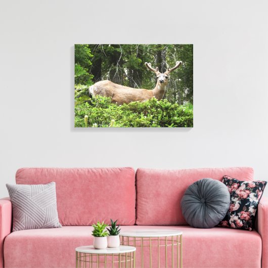 Yosemite Herten Natuur Fotografie Canvas Afdruk (Insitu (Woonkamer))