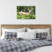 Yosemite Herten Natuur Fotografie Canvas Afdruk (Insitu (Slaapkamer))