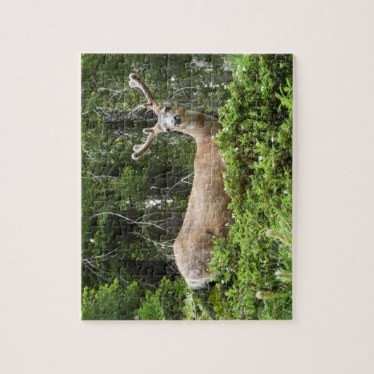 Yosemite Herten Natuur Fotografie Legpuzzel (Verticaal)