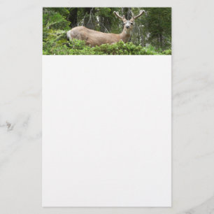 Yosemite Herten Natuurfotografie Briefpapier