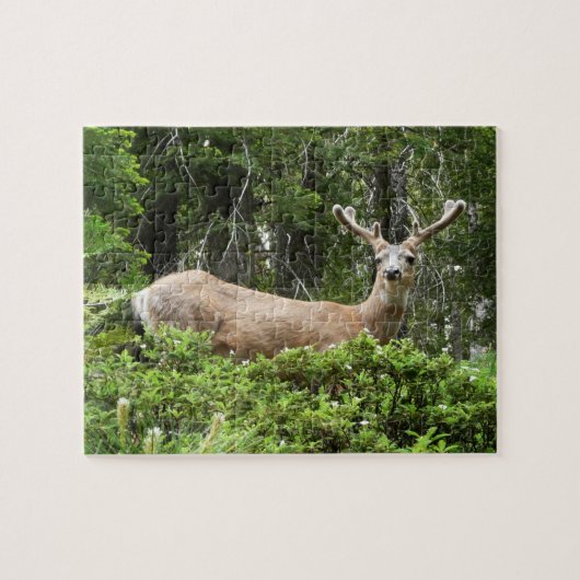 Yosemite Herten Natuurfotografie Legpuzzel (Horizontaal)