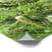Yosemite Herten Natuurfotografie Poster (Hoek)