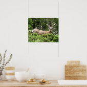 Yosemite Herten Natuurfotografie Poster (Keuken)