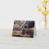 Yosemite in de Lente: Een bontVriend Kaart (Gele Bloem)