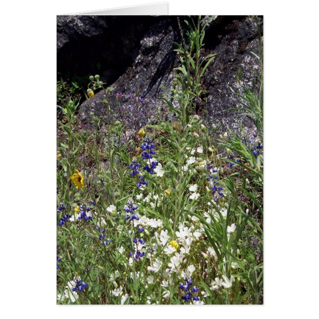 Yosemite in Springtime:  Berg Wildbloemen (Voorkant)