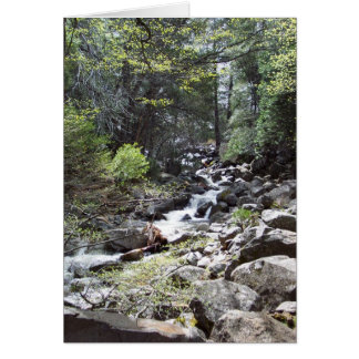 Yosemite in Springtime:  Bridalveil Herfsten Trail