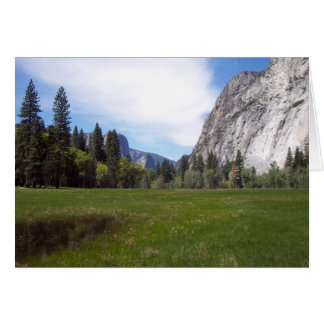 Yosemite in Springtime:  Uitzicht