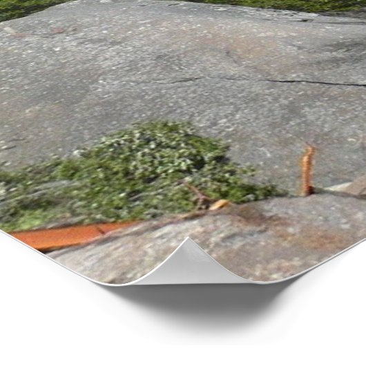 Yosemite Lagere Herfsten uit het Yosemite National Poster (Hoek)